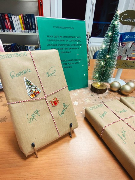 Livre mystère bibliothèque d'Annay-sous-Lens